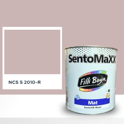 Filli Boya Sentomaxx Boya NCS S 2010-R