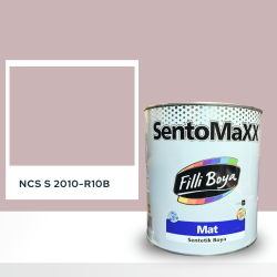 Filli Boya Sentomaxx Boya NCS S 2010-R10B