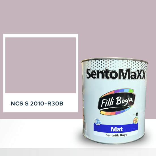 Filli Boya Sentomaxx Boya NCS S 2010-R30B