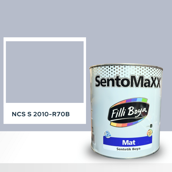 Filli Boya Sentomaxx Boya NCS S 2010-R70B