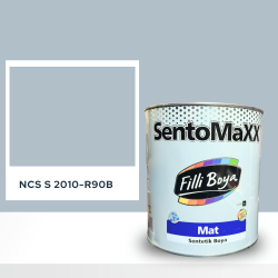 Filli Boya Sentomaxx Boya NCS S 2010-R90B