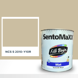 Filli Boya Sentomaxx Boya NCS S 2010-Y10R