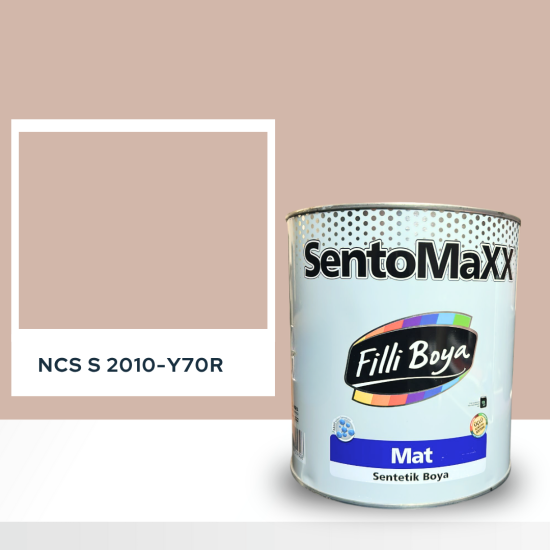 Filli Boya Sentomaxx Boya NCS S 2010-Y70R
