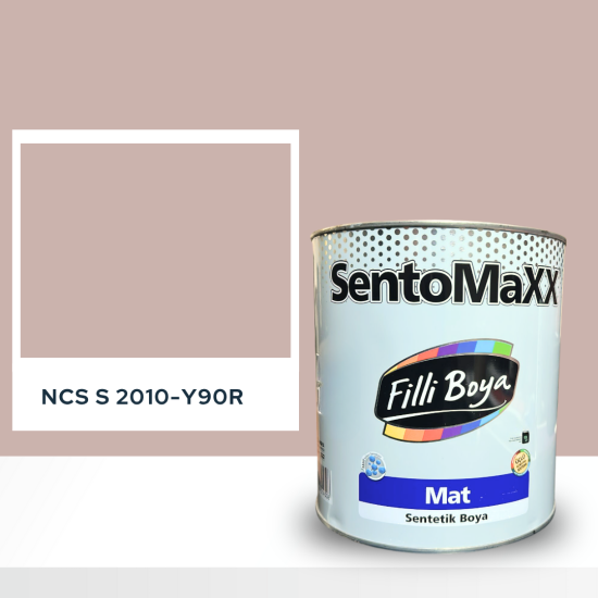 Filli Boya Sentomaxx Boya NCS S 2010-Y90R
