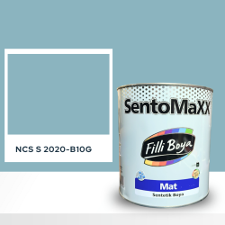 Filli Boya Sentomaxx Boya NCS S 2020-B10G