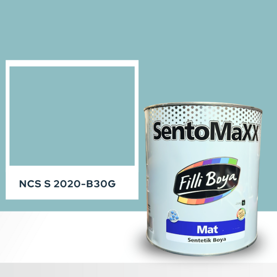 Filli Boya Sentomaxx Boya NCS S 2020-B30G