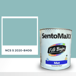 Filli Boya Sentomaxx Boya NCS S 2020-B40G