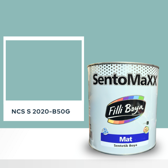 Filli Boya Sentomaxx Boya NCS S 2020-B50G Filli Boya Sentomaxx Boya NCS S 2020-B50G