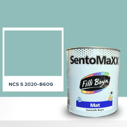 Filli Boya Sentomaxx Boya NCS S 2020-B60G