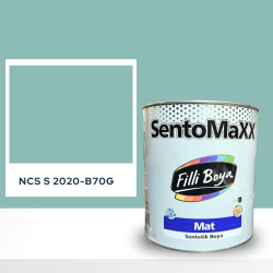 Filli Boya Sentomaxx Boya NCS S 2020-B70G