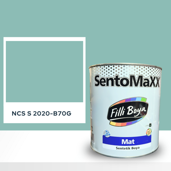 Filli Boya Sentomaxx Boya NCS S 2020-B70G Filli Boya Sentomaxx Boya NCS S 2020-B70G