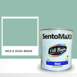 Filli Boya Sentomaxx Boya NCS S 2020-B90G