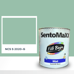 Filli Boya Sentomaxx Boya NCS S 2020-G