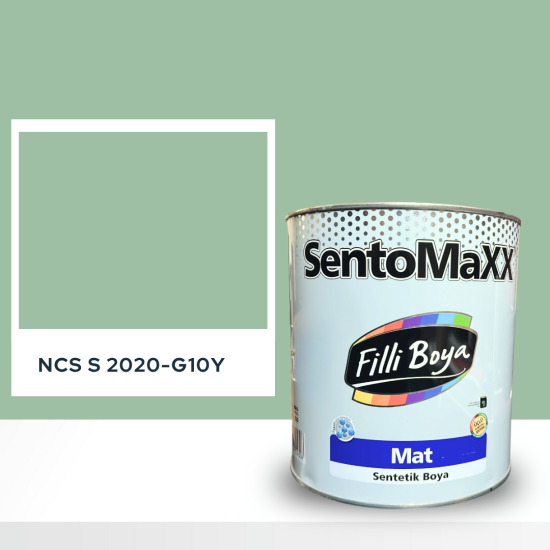 Filli Boya Sentomaxx Boya NCS S 2020-G10Y