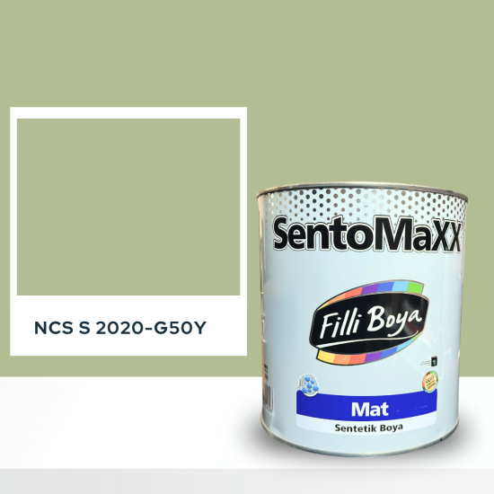Filli Boya Sentomaxx Boya NCS S 2020-G50Y