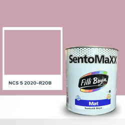 Filli Boya Sentomaxx Boya NCS S 2020-R20B