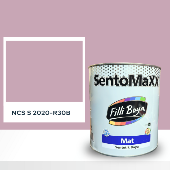 Filli Boya Sentomaxx Boya NCS S 2020-R30B