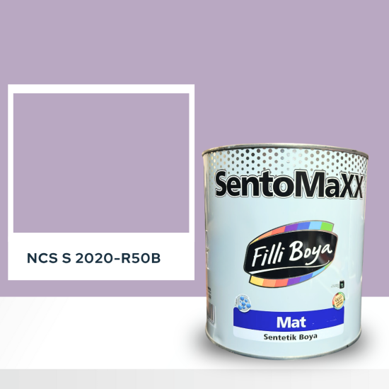Filli Boya Sentomaxx Boya NCS S 2020-R50B Filli Boya Sentomaxx Boya NCS S 2020-R50B