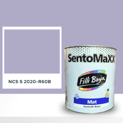 Filli Boya Sentomaxx Boya NCS S 2020-R60B