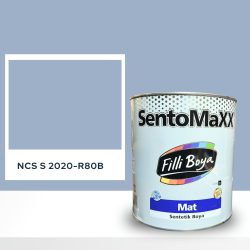 Filli Boya Sentomaxx Boya NCS S 2020-R80B