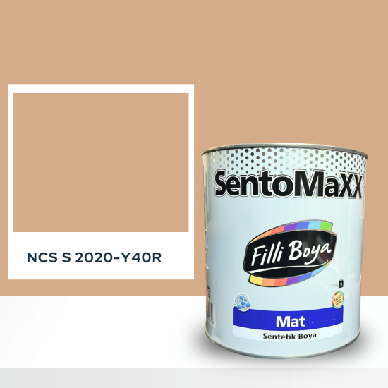 Filli Boya Sentomaxx Boya NCS S 2020-Y40R