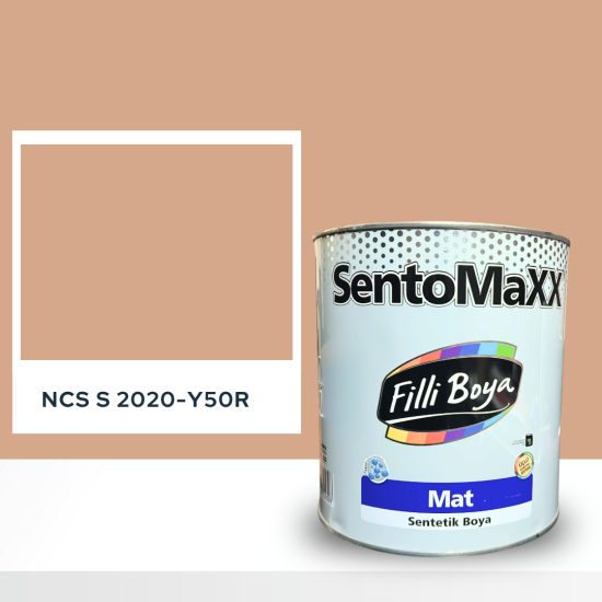 Filli Boya Sentomaxx Boya NCS S 2020-Y50R