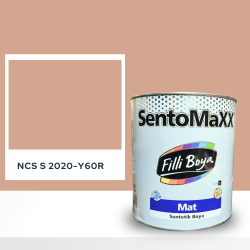 Filli Boya Sentomaxx Boya NCS S 2020-Y60R