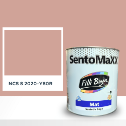 Filli Boya Sentomaxx Boya NCS S 2020-Y80R