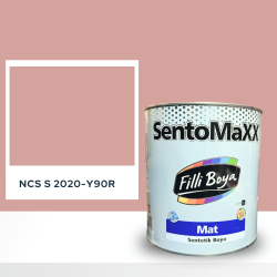 Filli Boya Sentomaxx Boya NCS S 2020-Y90R
