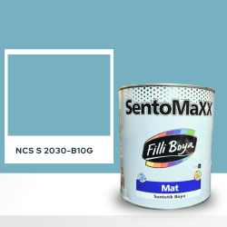 Filli Boya Sentomaxx Boya NCS S 2030-B10G
