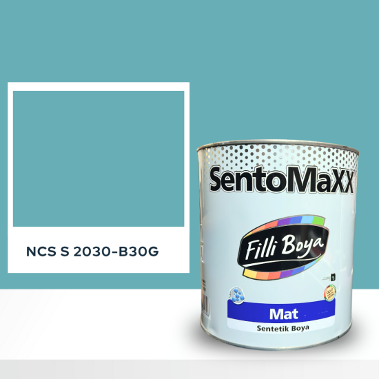 Filli Boya Sentomaxx Boya NCS S 2030-B30G