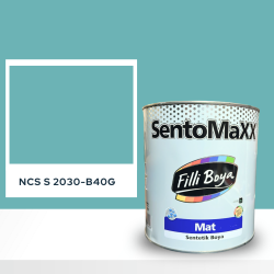 Filli Boya Sentomaxx Boya NCS S 2030-B40G