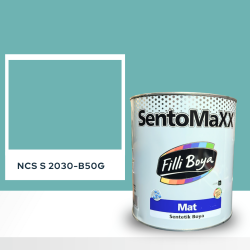 Filli Boya Sentomaxx Boya NCS S 2030-B50G