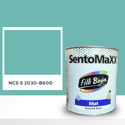 Filli Boya Sentomaxx Boya NCS S 2030-B60G