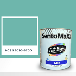 Filli Boya Sentomaxx Boya NCS S 2030-B70G