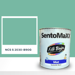 Filli Boya Sentomaxx Boya NCS S 2030-B90G