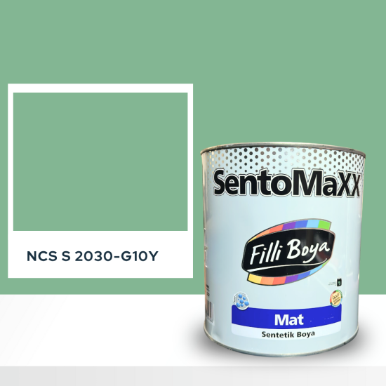 Filli Boya Sentomaxx Boya NCS S 2030-G10Y