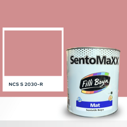 Filli Boya Sentomaxx Boya NCS S 2030-R