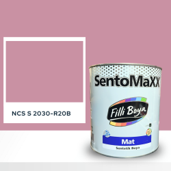 Filli Boya Sentomaxx Boya NCS S 2030-R20B