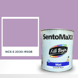 Filli Boya Sentomaxx Boya NCS S 2030-R50B