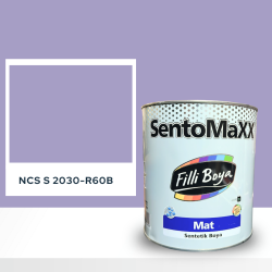 Filli Boya Sentomaxx Boya NCS S 2030-R60B