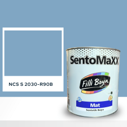 Filli Boya Sentomaxx Boya NCS S 2030-R90B