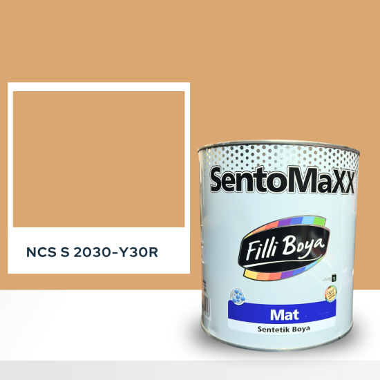 Filli Boya Sentomaxx Boya NCS S 2030-Y30R