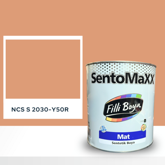 Filli Boya Sentomaxx Boya NCS S 2030-Y50R