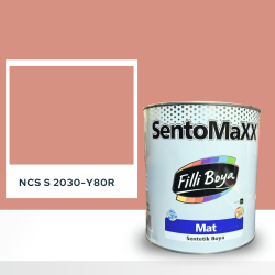 Filli Boya Sentomaxx Boya NCS S 2030-Y80R