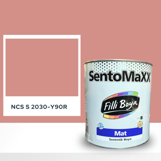 Filli Boya Sentomaxx Boya NCS S 2030-Y90R