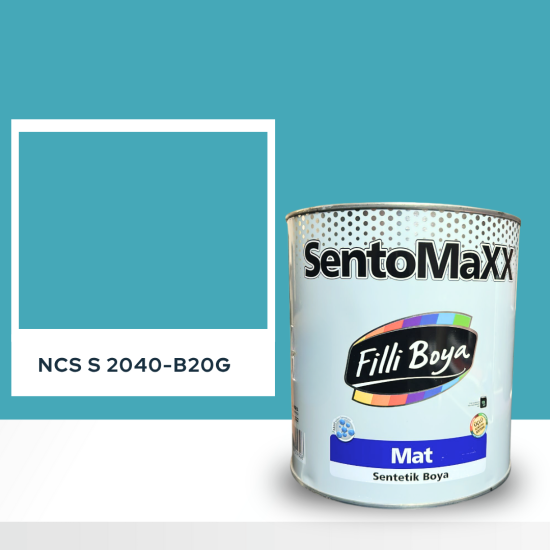 Filli Boya Sentomaxx Boya NCS S 2040-B20G