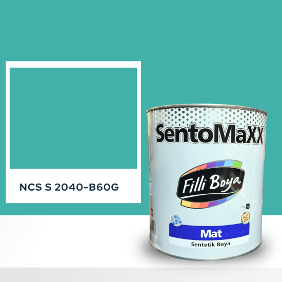 Filli Boya Sentomaxx Boya NCS S 2040-B60G