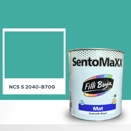 Filli Boya Sentomaxx Boya NCS S 2040-B70G