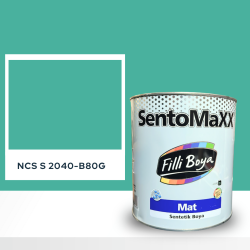 Filli Boya Sentomaxx Boya NCS S 2040-B80G